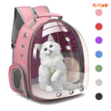 Transparent Cat Backpack Carrier